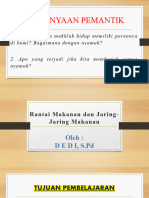 Ekosistem (Rantai Dan Jaring-Jaring Makanan)