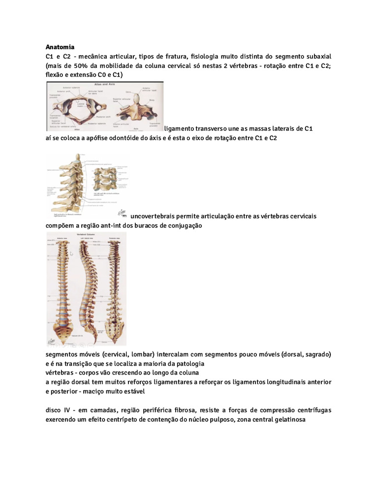 Anatomia e Patologias da Coluna Vertebral | PDF | Coluna vertebral ...