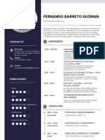 Curriculum Vitae Actualizado Fernando Barreto