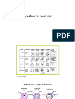 Diagnóstico Paludismo y Toxoplasma