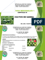 Cultivo de Sandia, IV U.