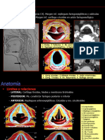 Anatomía Laringe