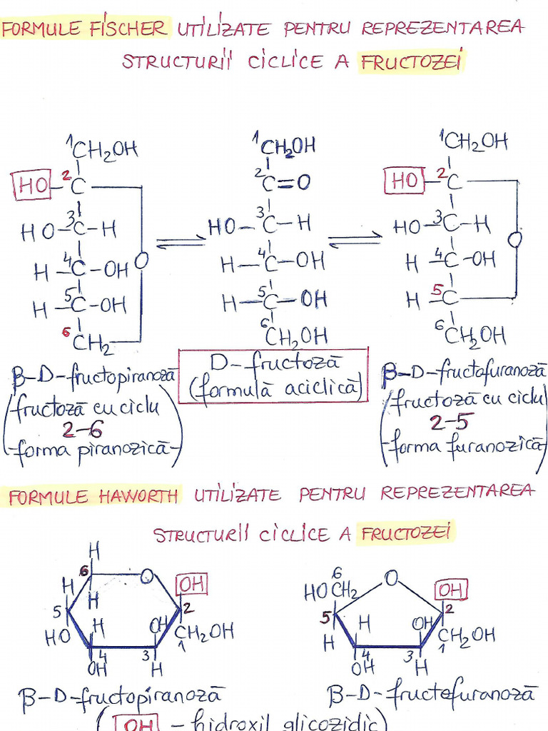 Fructoza | PDF