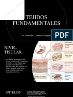 Tejidos Fundamentales