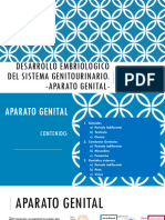Tema 18 Embriologia Genitorurinario II - Sistema Genital