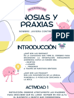 Gnosias y Praxias 