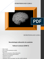 Neuropsihologie Clinica Curs 5