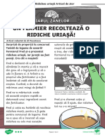 Fisa de Lectura Nivel Avansat - Ridichea Uriasa