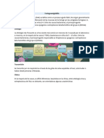 Faringoamigdalitis y Sinusitis (Autoguardado)