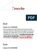 Cosecha