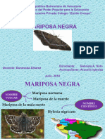 La Mariposa Negra