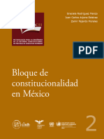 2 Bloque Constitucionalidad (1)