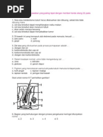 Soal Ekskresi