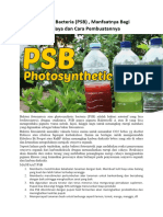 Photosynthetic Bacteria (PSB), Manfaatnya Bagi Tanaman Budidaya Dan Cara Pembuatannya