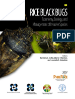 RIce Black Bug Taxonomy Ecologyand Managementof Invasive Species