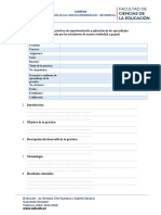5 Formato Informe-Guía APE