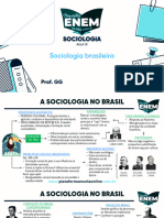 EO - Aula 15 - Sociologia Brasileira