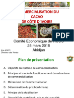 Commercialisation Ci-Icco Mars 2015 - Presentation