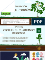 Tejidos Vegetales 2a-B