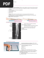 Proyecciones Radiológicas de Mano | PDF | Mano | Anatomía