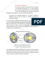 Engranajes Planetarios