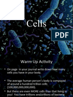 Cell Presentation NXPowerLite