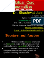 Dr. Shashwat Jani: Consultant Assistant Professor