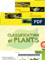 Classification of Animals and Plants