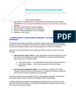 Documento Teórico Motilidad Del Intestino Delgado