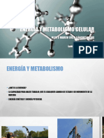 Energía y Metabolismo Celular