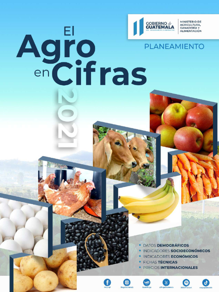El Agro en Cifras 2024: Datos Clave | PDF