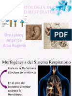 Embriologia Pulmonar
