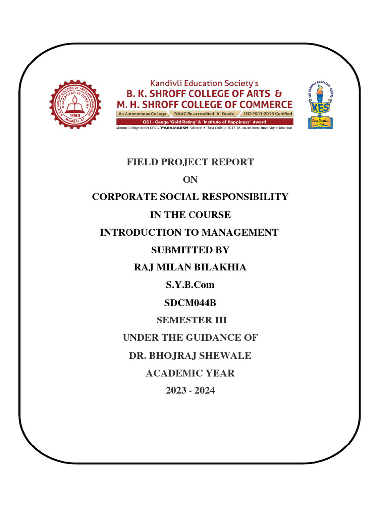 Field Project on Corporate Social Responsibility | PDF | Business | Art