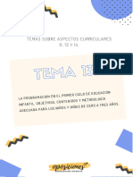 Tema 13 Nuevo