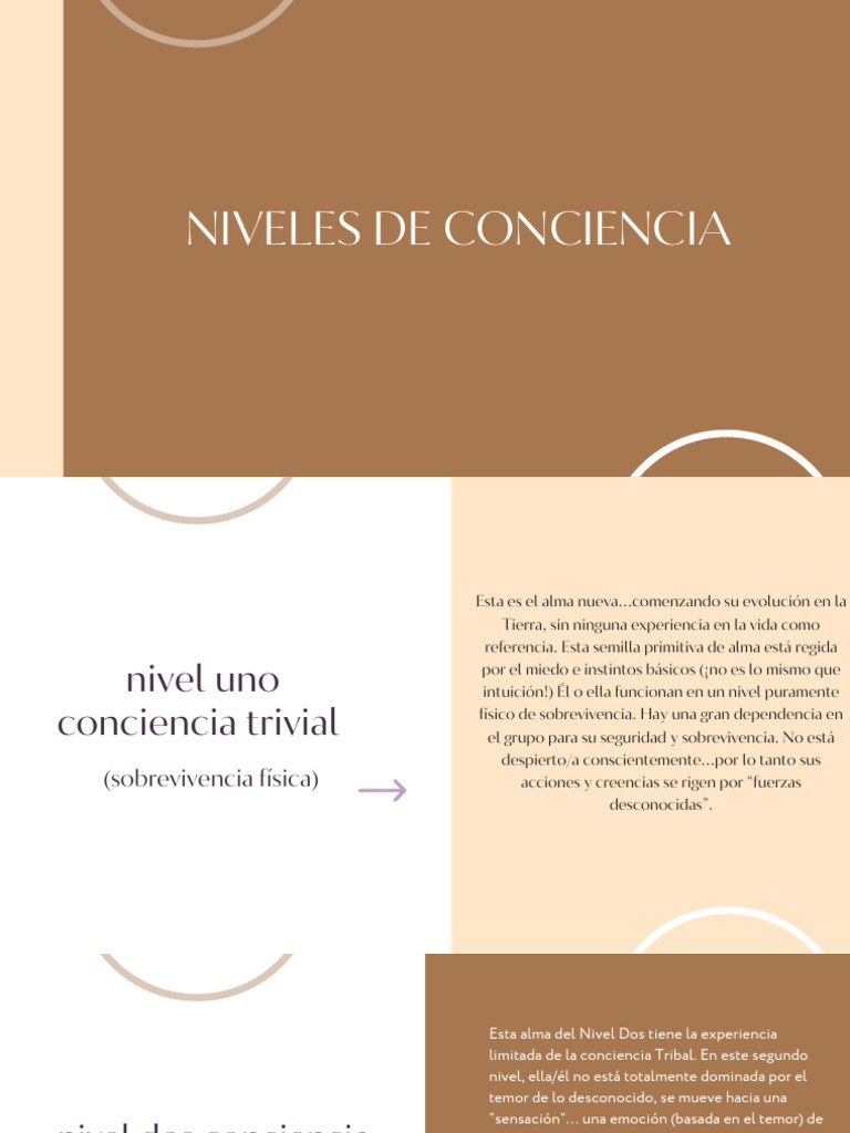 Niveles de Conciencia del Alma | PDF | Las emociones | Alma