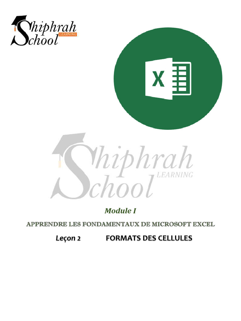 Formats de cellules dans Excel : Guide complet | PDF | Pourcentage ...
