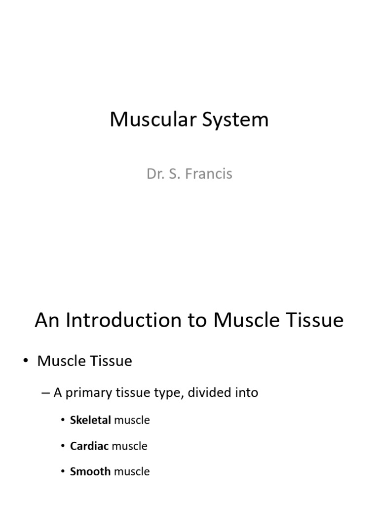 Skeletal System | PDF | Muscle Contraction | Neuromuscular Junction