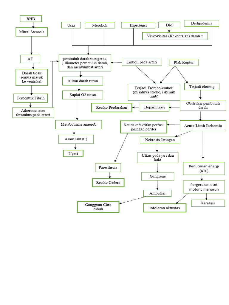 Pathway ALI | PDF