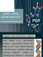 Asam Nukleat