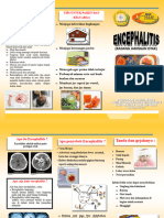 Leaflet Enchephalitis