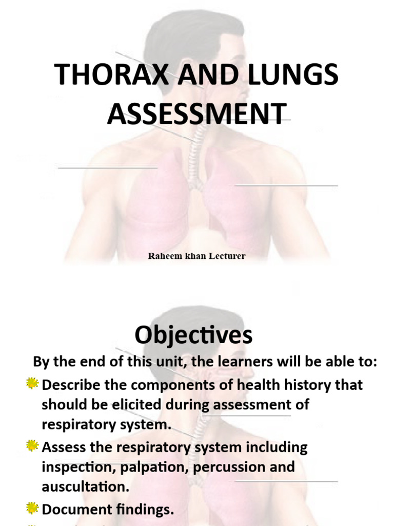 Respiratory System Assessment Guide | PDF | Thorax | Vertebral Column