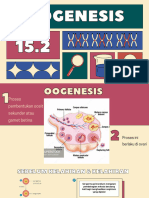 Oogenesis 15.2