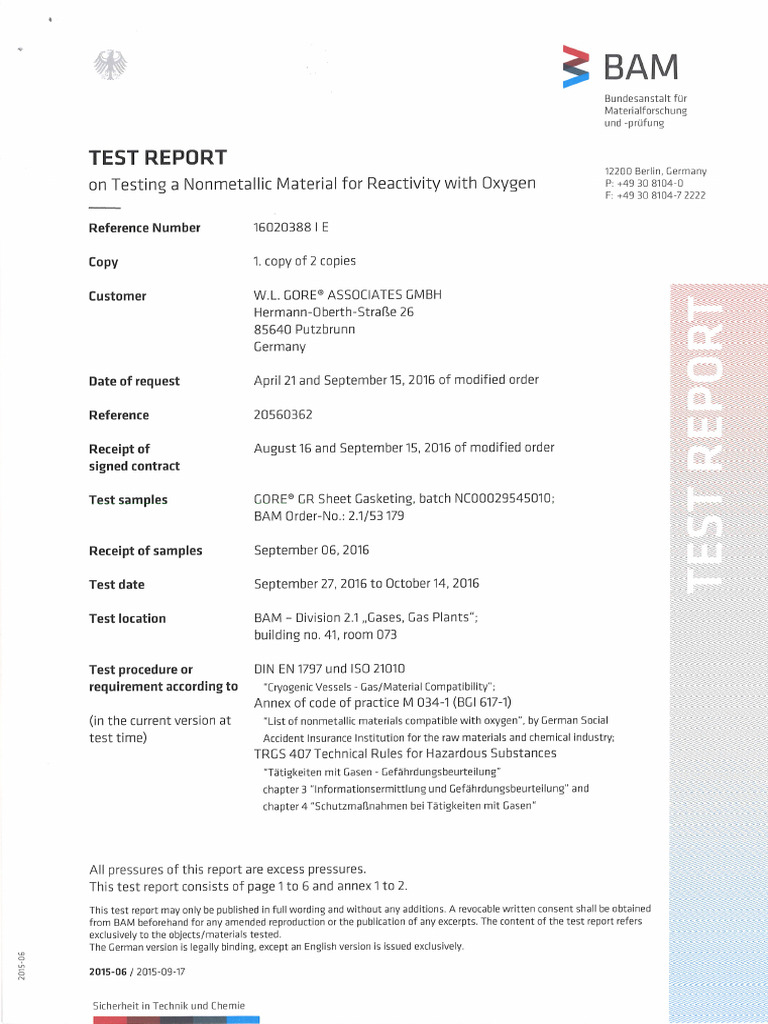 GORE GR Sheet Gasketing BAM-Report En1 | PDF