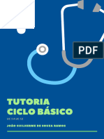 Tutorias Ciclo Básico UC 1 A UC12