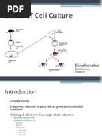 Cell Culture