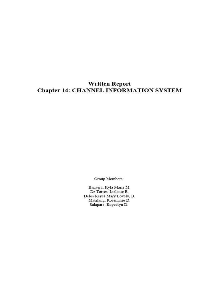 Channel Information System 2 Docx Kjsdhdkas PDF Retail Sales