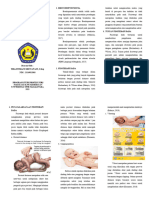 Leaflet Fisioterapi Dada Anak BP