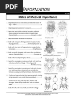 Mites of Medical Importance