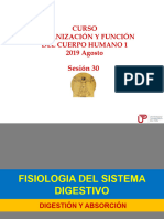 Sesion 30 - Digestion y Absorcion