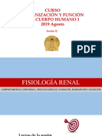 Sesion 32 - Filtracion Reabsorcion y Secrecion